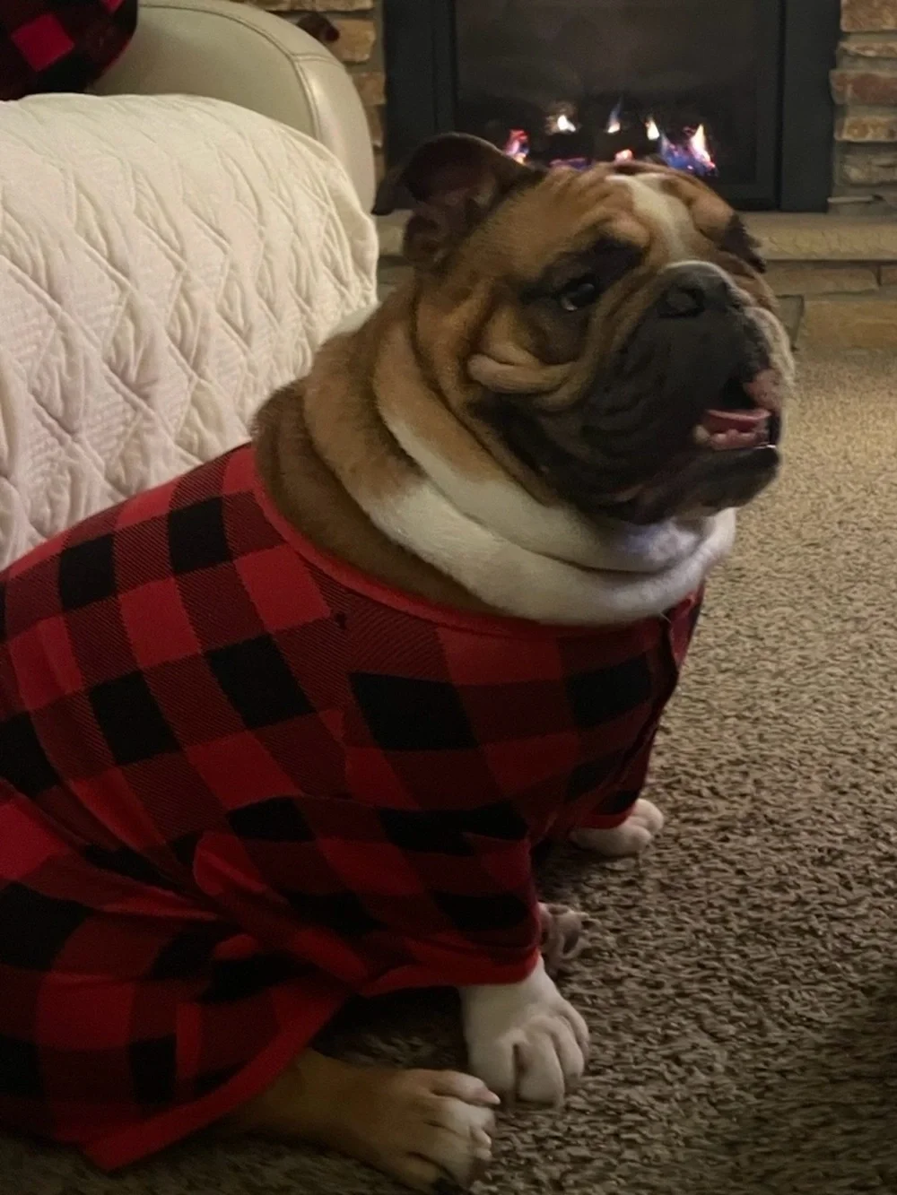 Red & Black Buffalo Plaid Dog Tee - Cozy Velcro closure C33